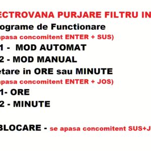 Filtru de Sedimente cu Sita INOX si Purjare AUTOMATA FDSX 2”